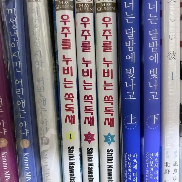 우주를 누비는 쏙독새 판매합니다