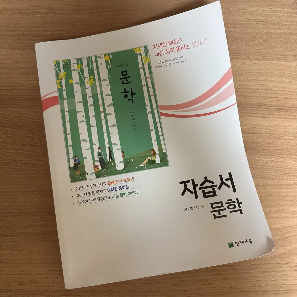 천재 정호웅 고등 문학 교과서 자습서 평가문제집 국어 문제집