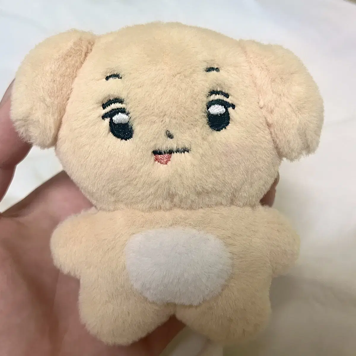 tiot kum junhyeon doll keumjeolmi wts