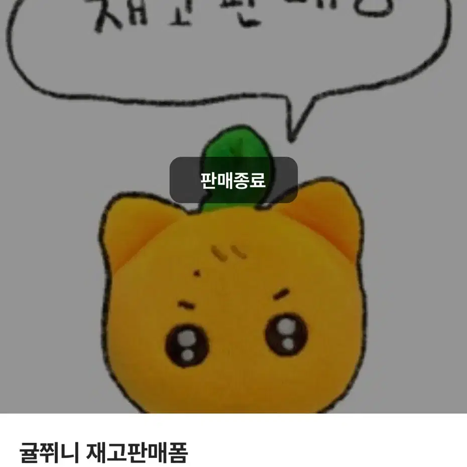 엔시티드림 런쥔 인형 귤쮜니