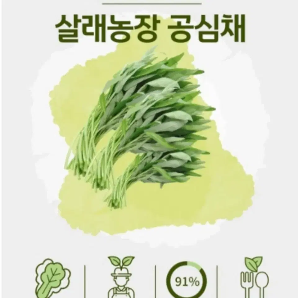 지리산뱀사골 수경재배 공심채 친환경 저탄소인증 GAP인증 유기농 국산