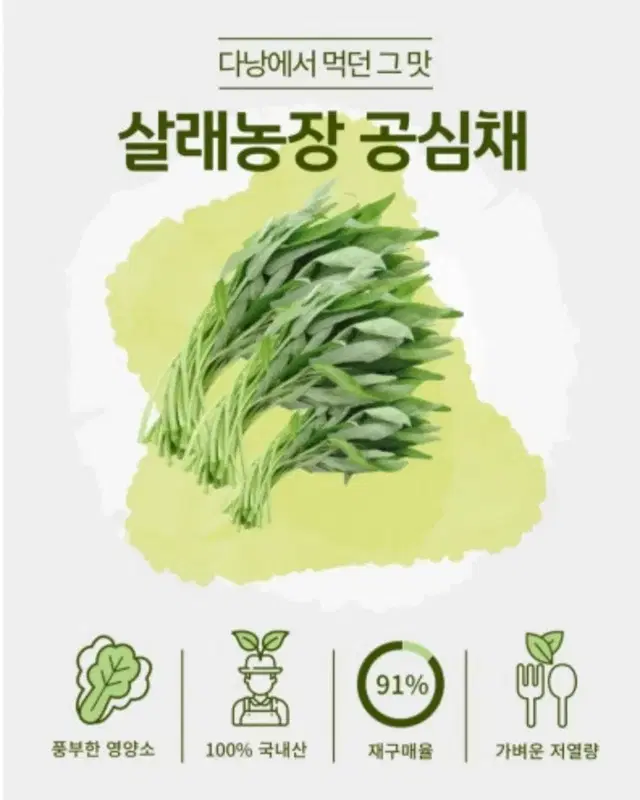 지리산뱀사골 수경재배 공심채 친환경 저탄소인증 GAP인증 유기농 국산