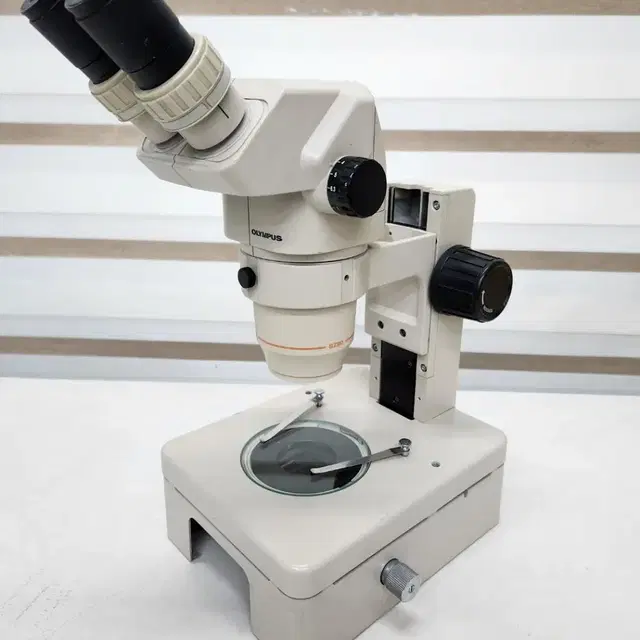 Olympus SZ60 Stereo Microscope 실체 현미경.