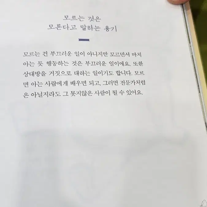 벨보아 깨끗한거 돈봉으로 사용