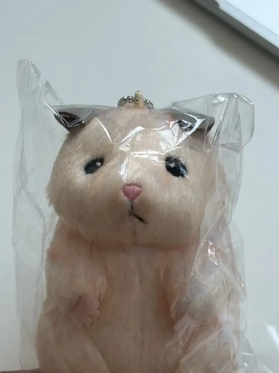 Sung Hanbin doll fathamhamster sealed genuine