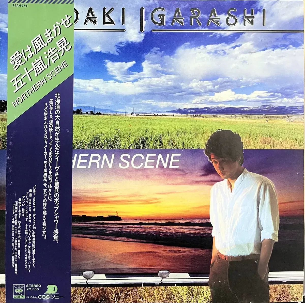 (Citypop) Hiroaki Igarashi Northern Scene lp