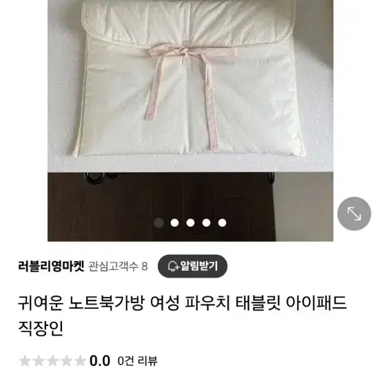 아이패드 파우치