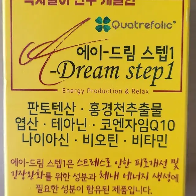 에이드림 스텝1  (A Dream step 1)