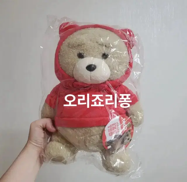 19테드 곰돌이 후드 곰 인형