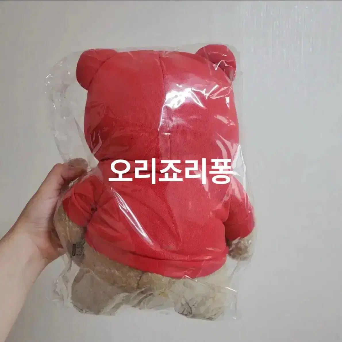 19테드 곰돌이 후드 곰 인형