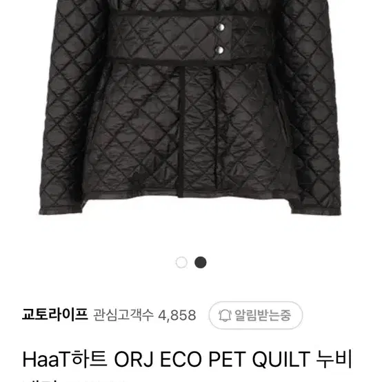 이세이미야케 HaaT ORJ ECO PET QUILT 재킷 FD901