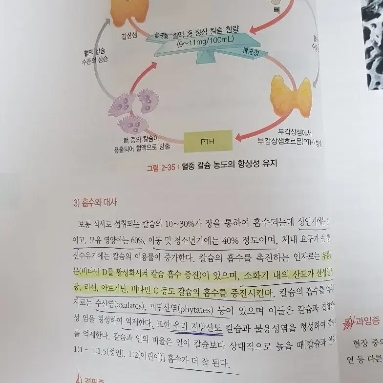 고문사 건강을 위한 영양과 식사요법