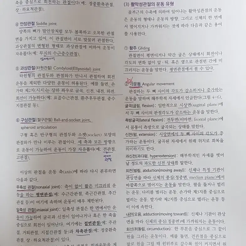 현문사 인체해부학