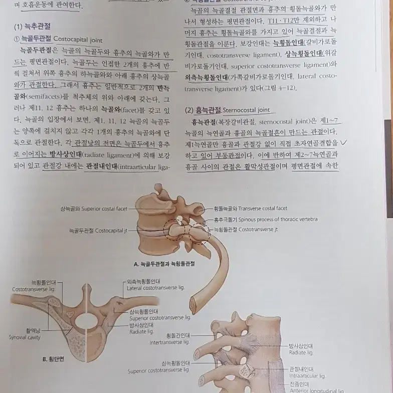 현문사 인체해부학