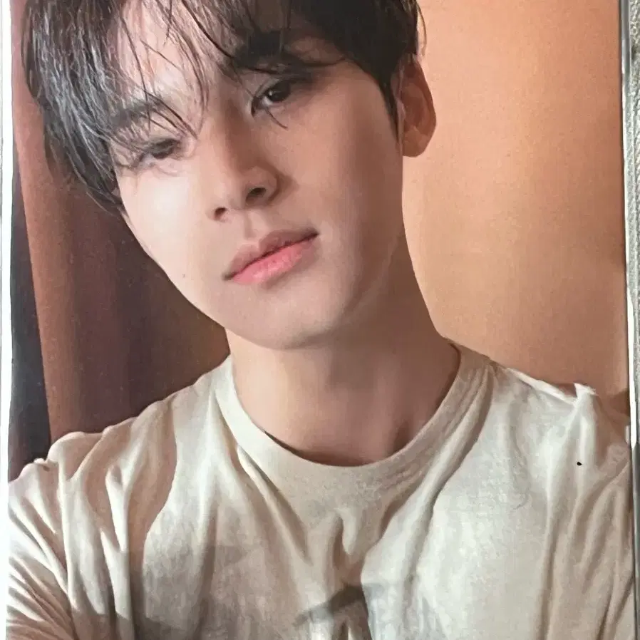 페더썬 김민규