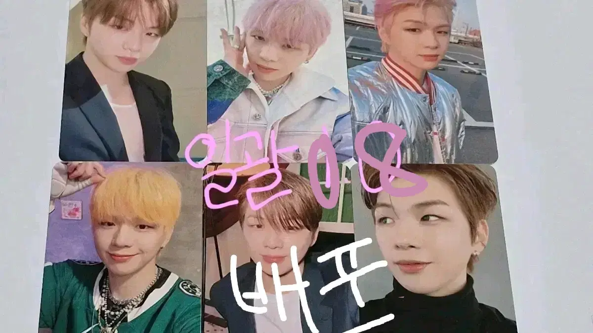 더 스토리 강다니엘 포카