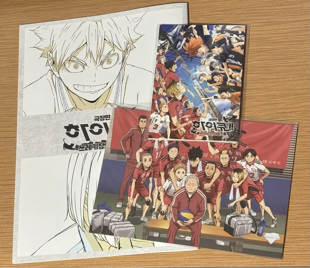 The Battle of the Haikyuu Dump pre-order benefit Memorial Book Nekoma Group Photo Accordion Book