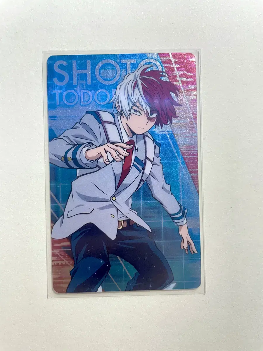 Handsome Todoroki Kard