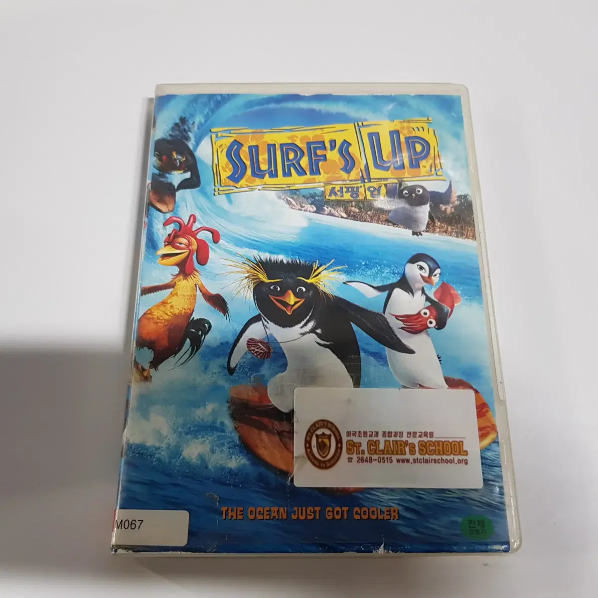 Surf's Up 서핑 업  DVD