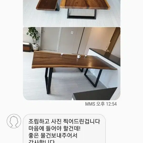 창원으로 분양된 보루네오월넛