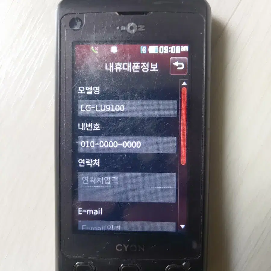 LG 쿠키폰 LG-LU9100