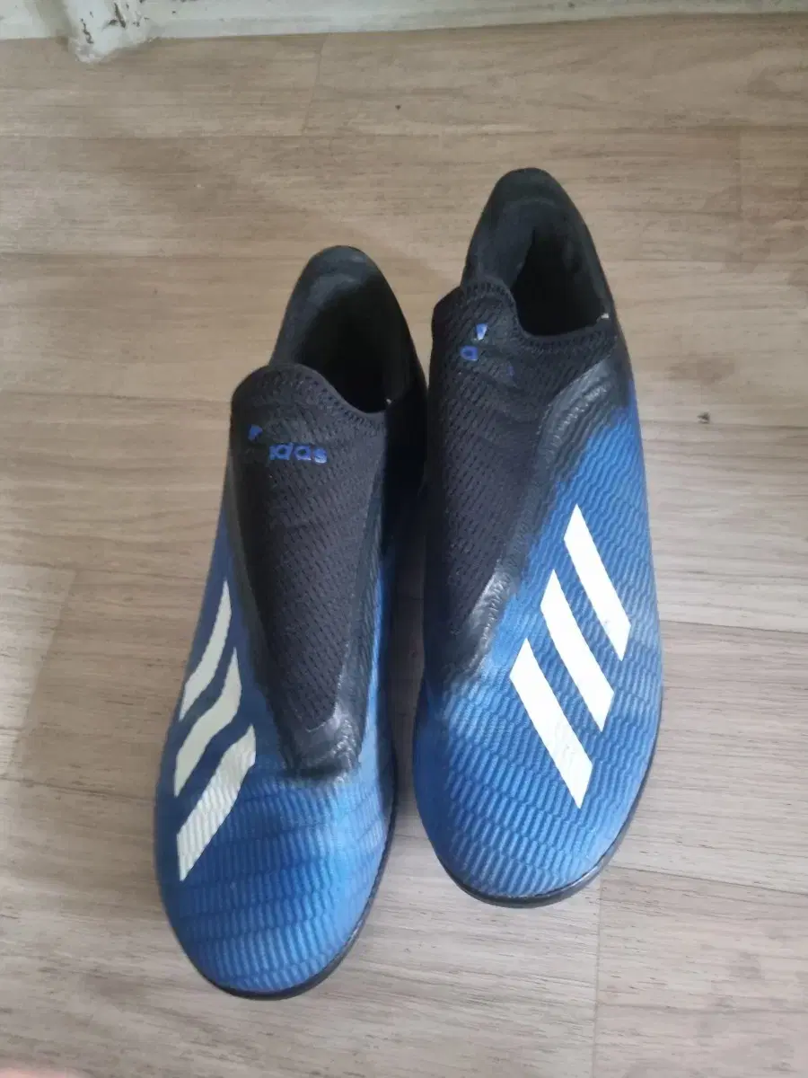 Adidas futsal shoes