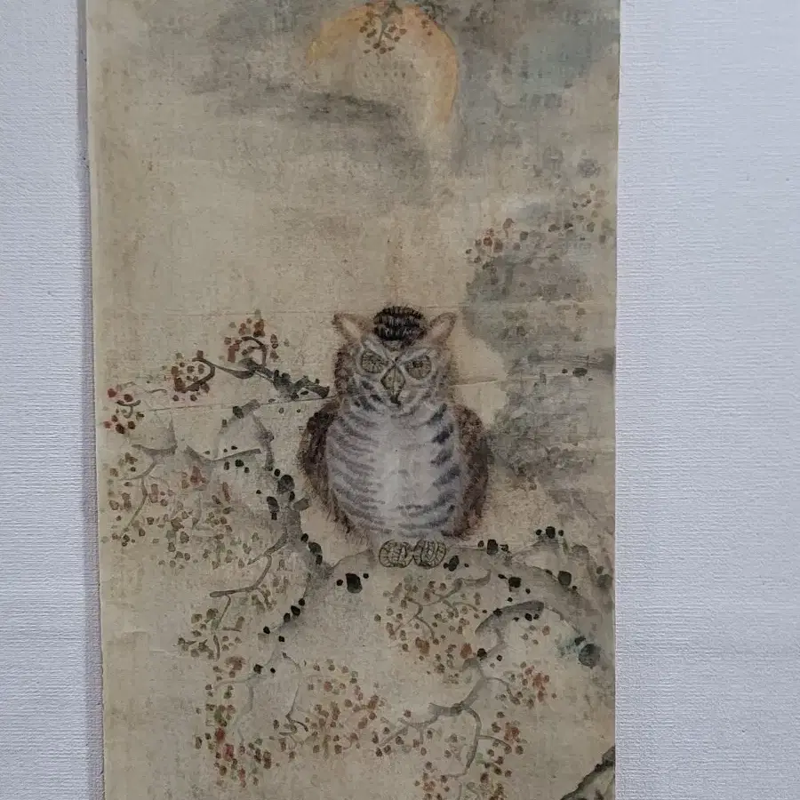 부엉이 그림 고화