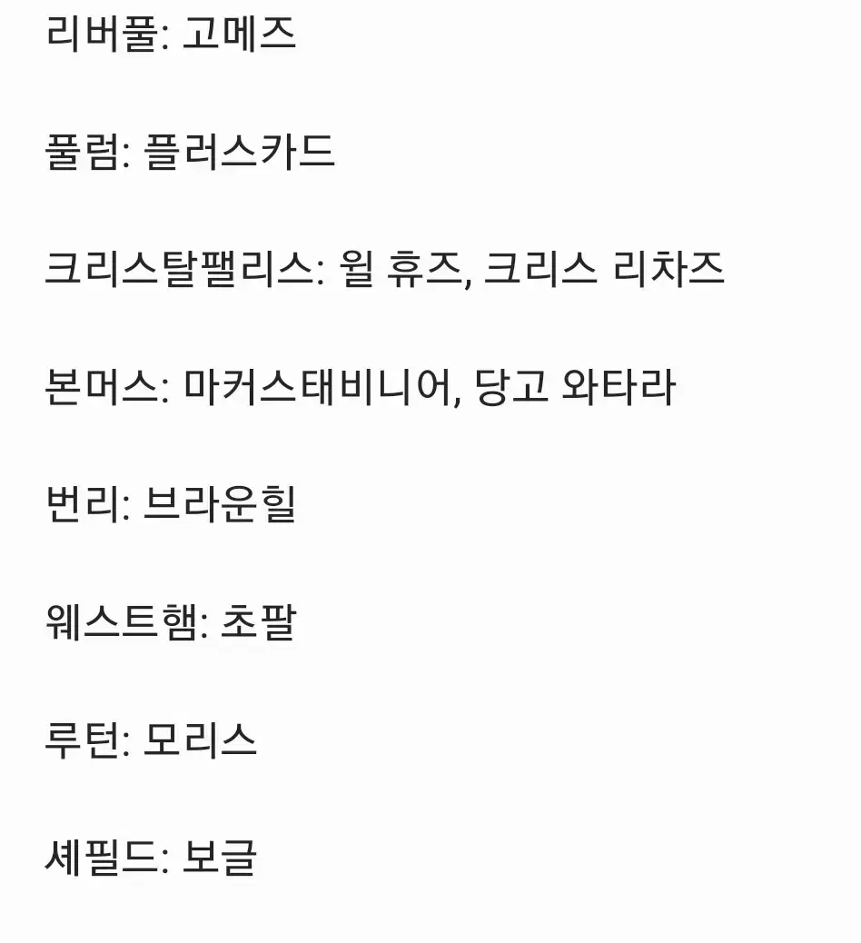 EPL 파니니 리버풀 풀럼 크팰 본머스 번리 셰필드 웨스트햄 루턴