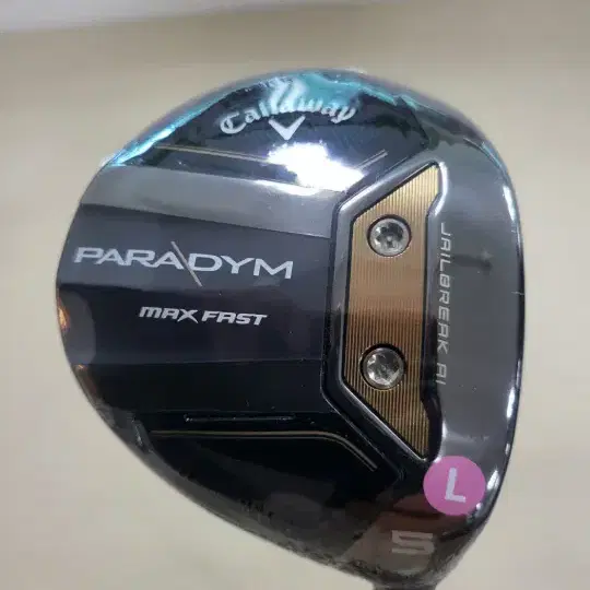 여성 PARADYM MAX FAST 5W 19 L ELDIO 40 for