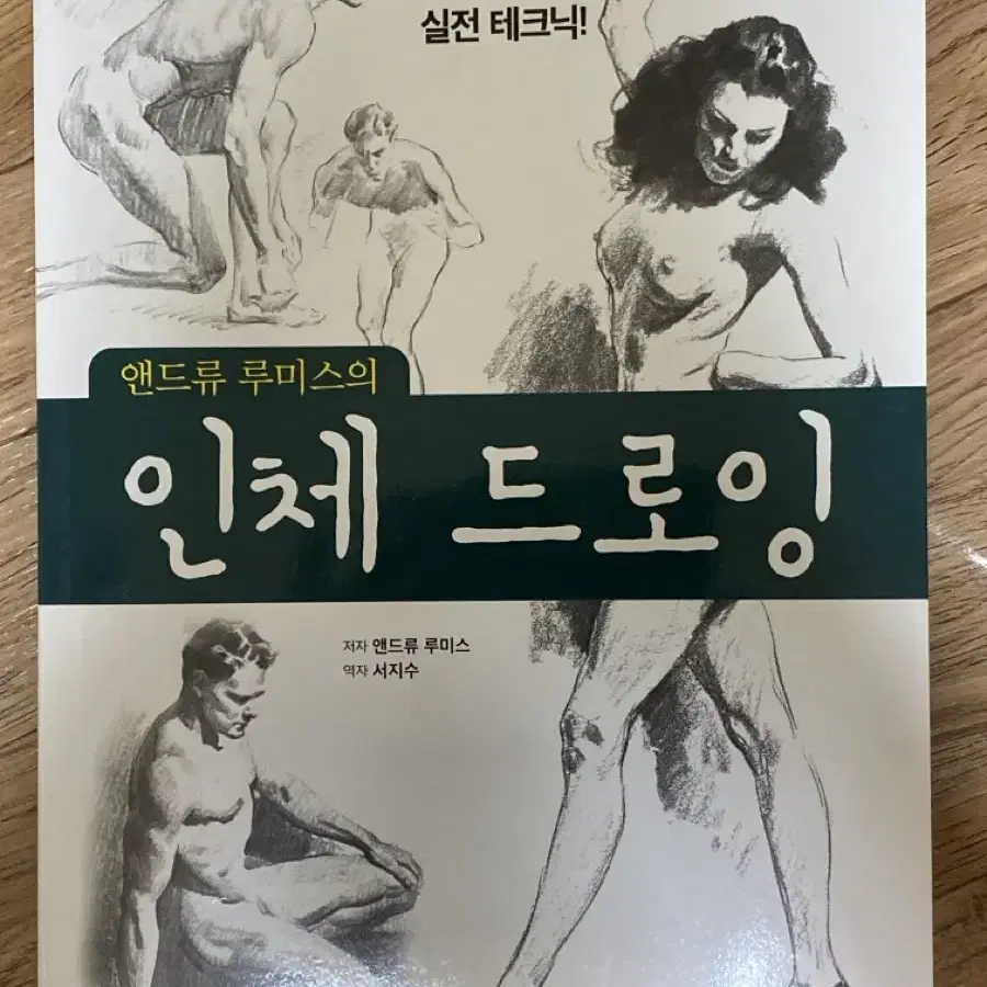 앤드류 류미스의 인체 드로잉