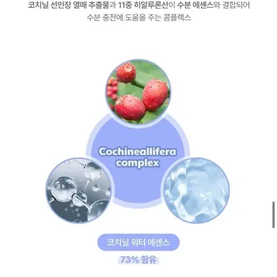 누즈 리퀴드 케어 치크 06뮬리보울