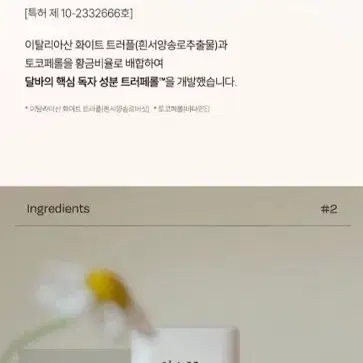 달바 에어핏 프레쉬 비건 선스틱 미개봉