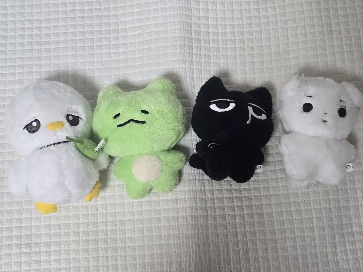 monsta x doll wts 채깨굴 균짱이 쏙독채 깍악댕