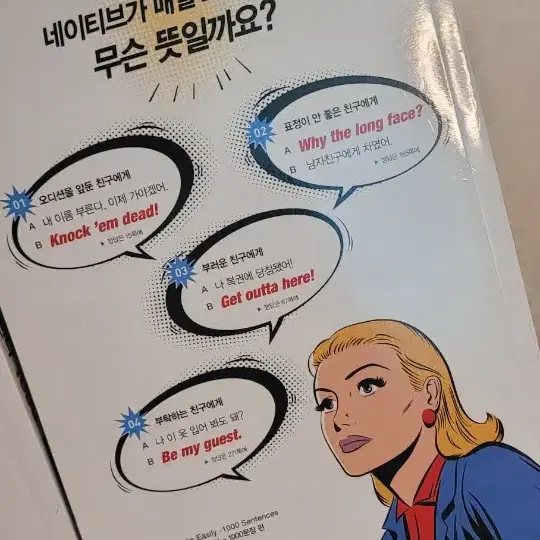 네이티브는 쉬운영어로 말한다(책)