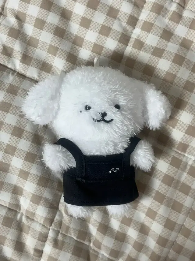 젠뭉이/젠몽이/앞치마도드려요/엔시티드림인형/제노인형