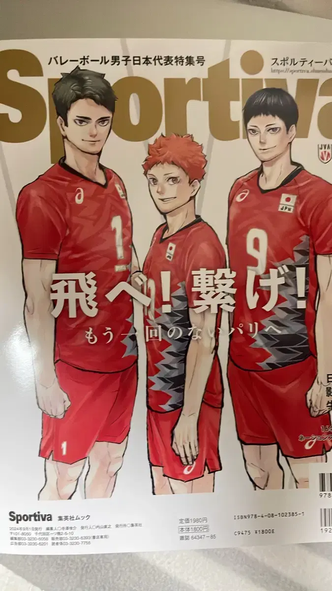 Transfer of haikyuu sportiva magazine wts