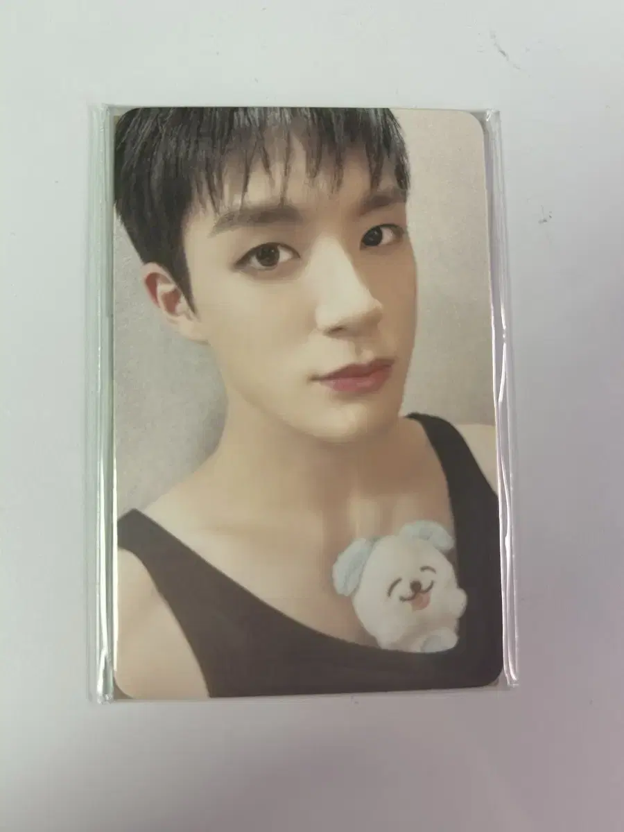 Jeno doll Mengyi photocard