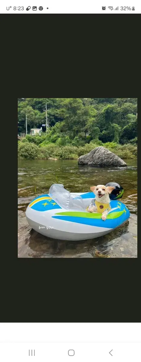 가평 퍼니멍멍 애견 풀빌라 8 월10 일 토요일))