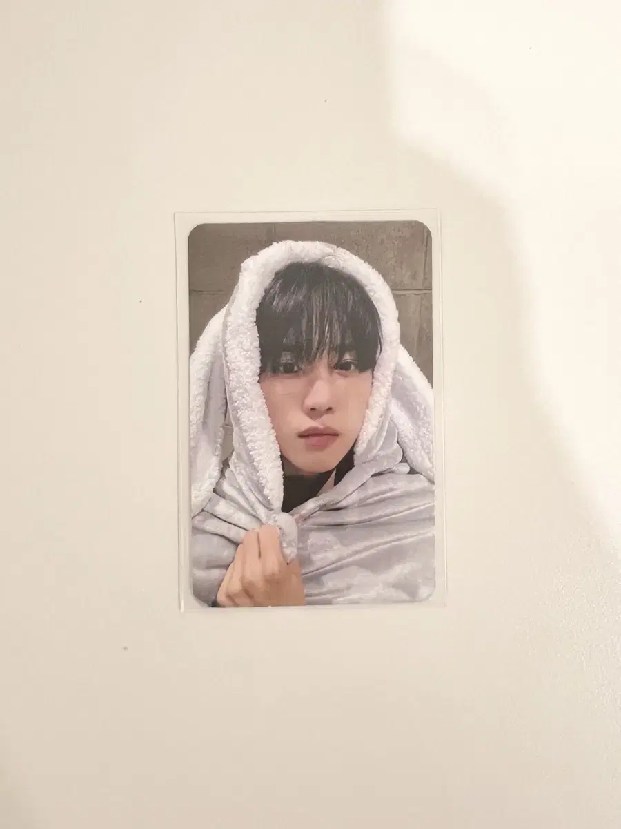 The Boyz sunwoo Bunny Blanket photocard WTS