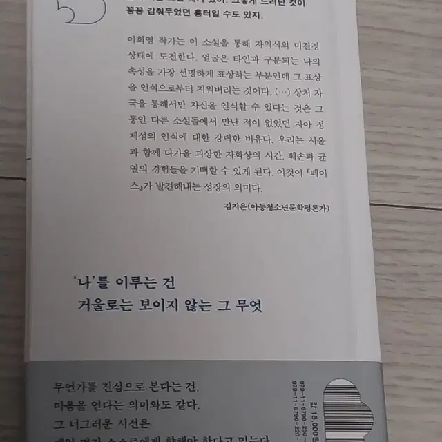 페이스 이희영 소설 (페인트작가)