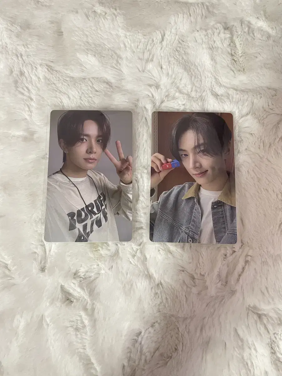 enhypen jay heeseung enginevahn photocard wts