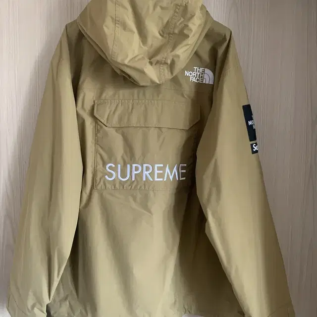 Supreme x The North Face Cargo Jacket Go