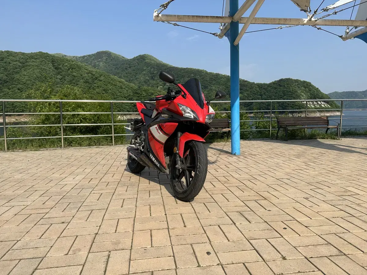 Yzf-r125 생존 신고