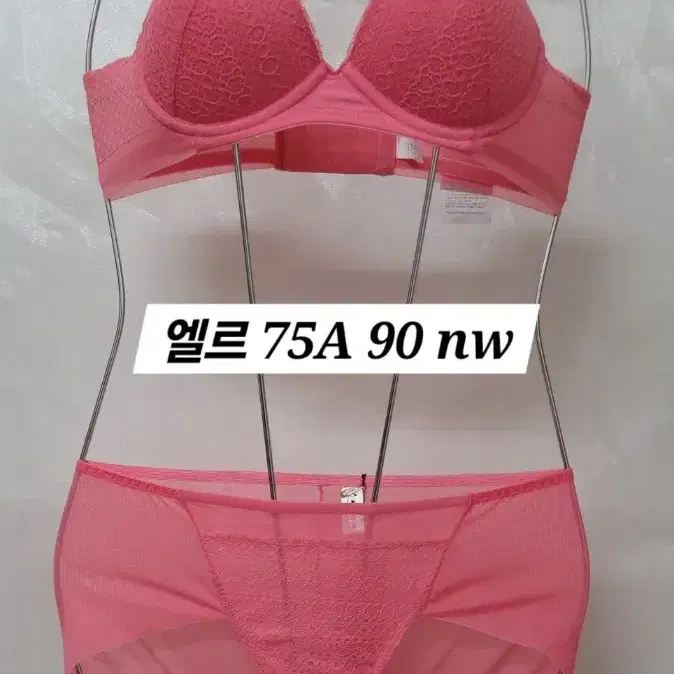 엘르 노와이어 브라 팬티 75A 90