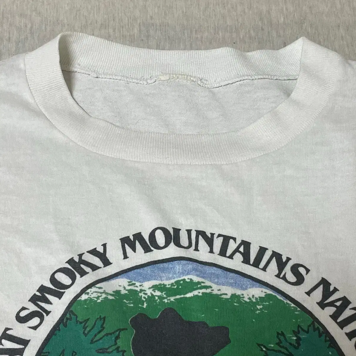 Great Smoky Mountain Vintage Longsleeve