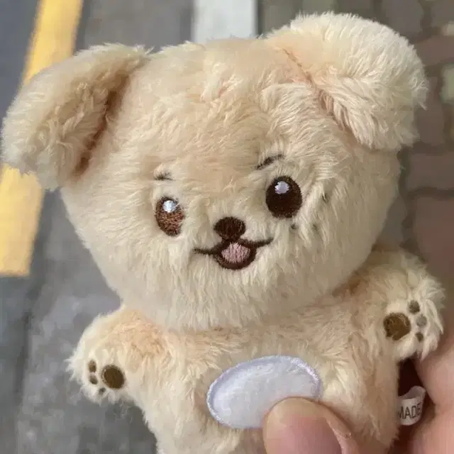 이강인 인형 양도 강알지 10cm