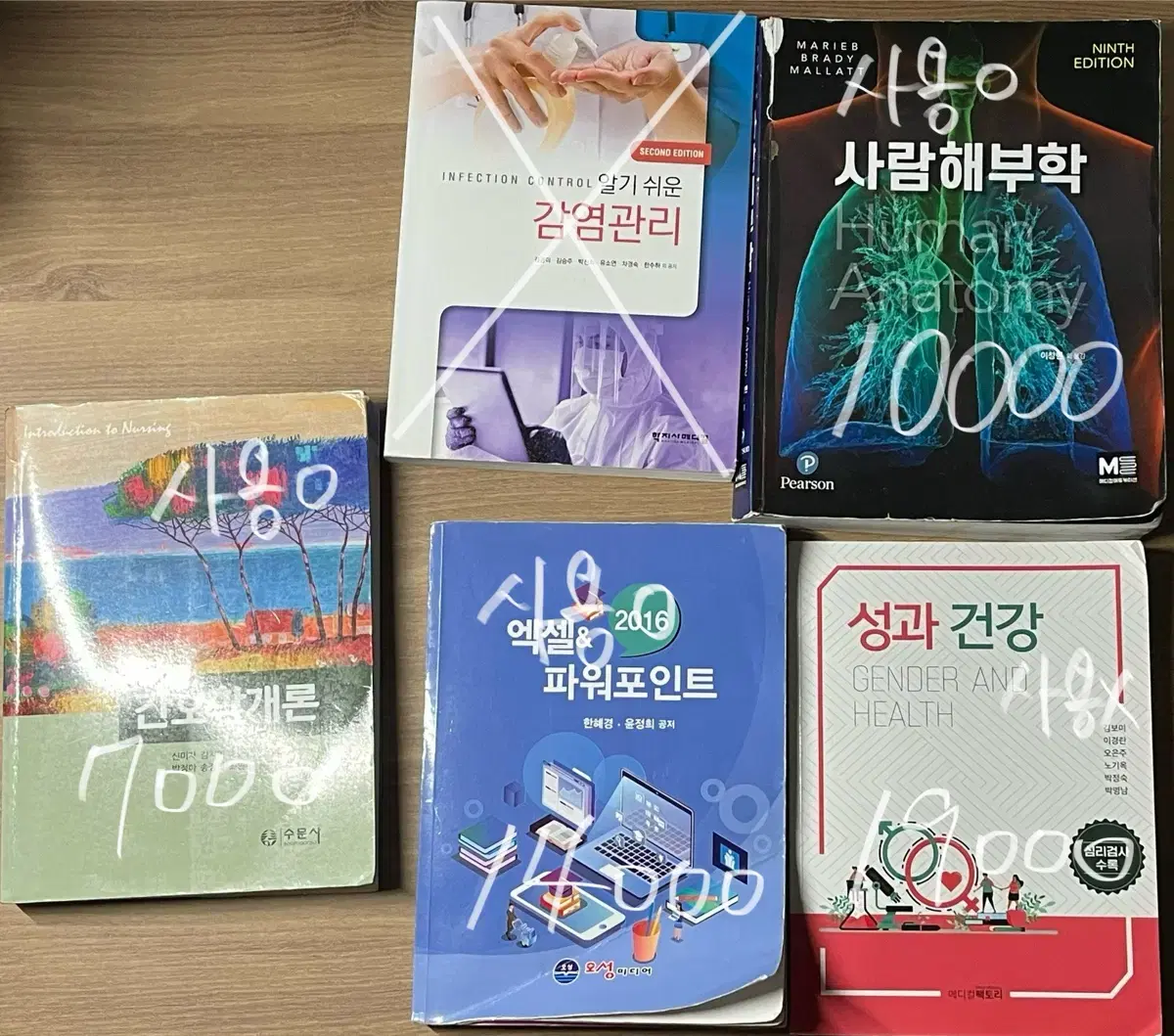 간호학개론 사람해부학 엑셀&파워포인트 성과건강 간호학과