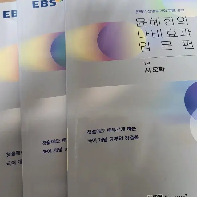 윤혜정의 나비효과 입문편 시문학, 소설문학, 비문학