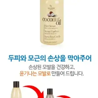 [헤어케미스트] 코코넛오일 헤어 세럼 88.72 ml NEW YORK