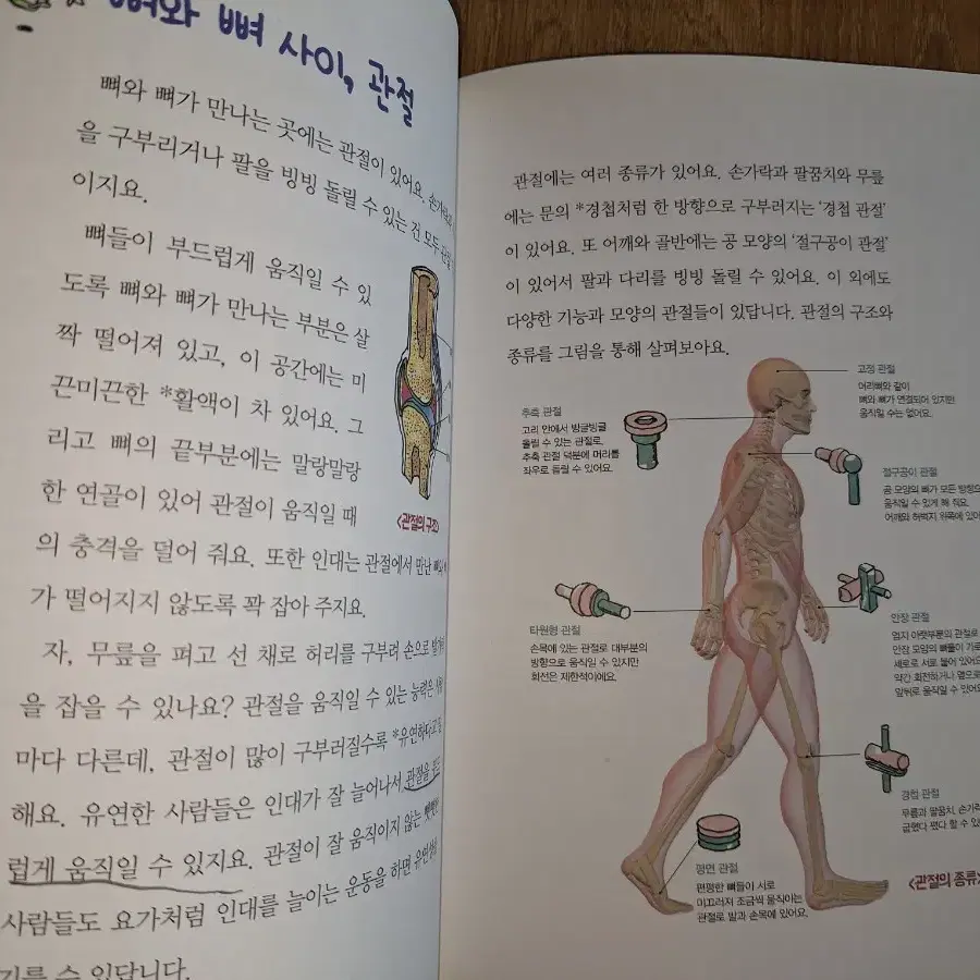 어린이 도서 7권 일괄 / 개별 판매